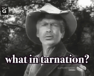 What in tarnation?